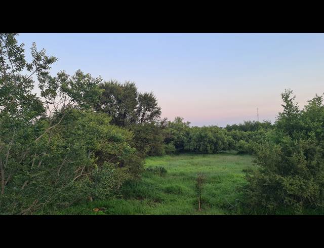 1HA VACANT LAND FOR SALE IN LEEUWFONTEIN ESTATE